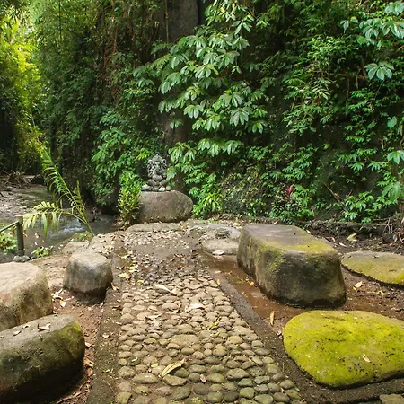 Bali Jungle Resort