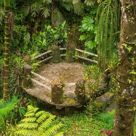 Bali Jungle Resort