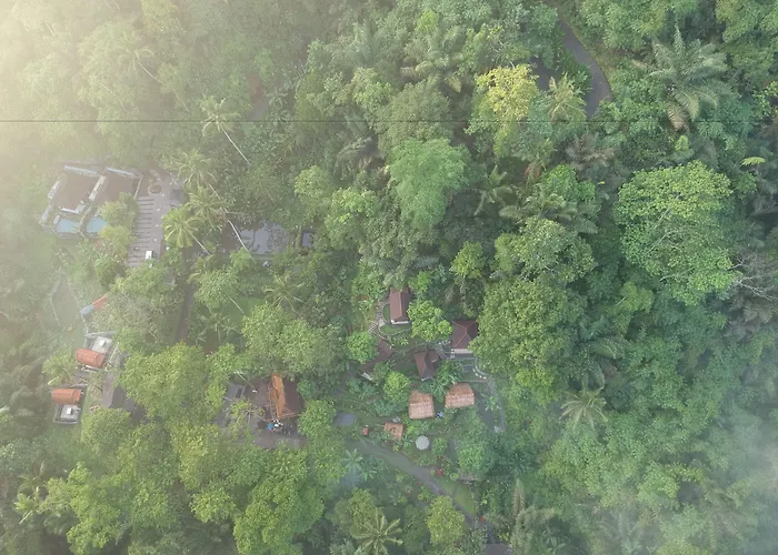 Hotel Bali Jungle