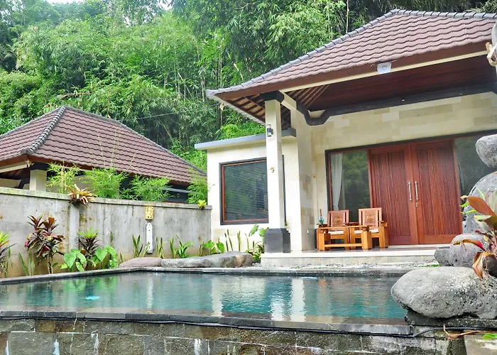 Hotel Bali Jungle 3*