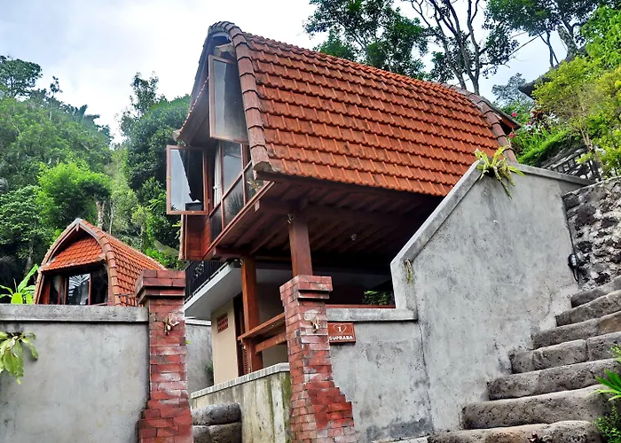 Bali Jungle 3*