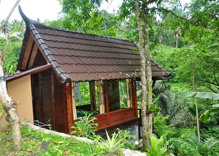Bali Jungle فندق