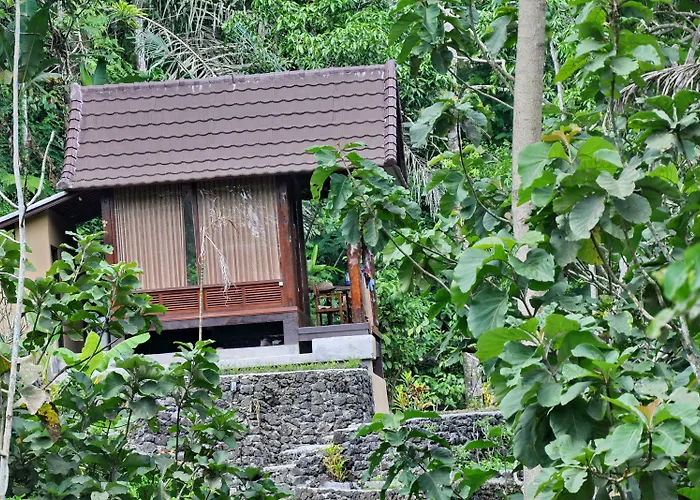 Bali Jungle 3* Tegallalang (Bali)