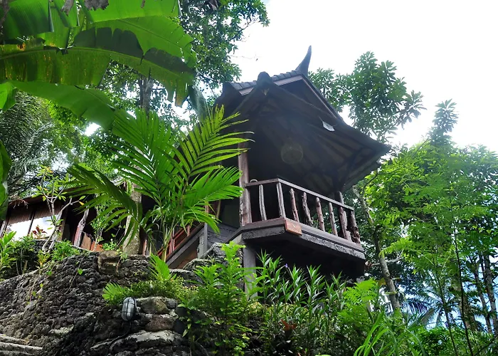 Bali Jungle 3* Tegallalang (Bali)