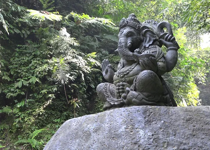 Bali Jungle