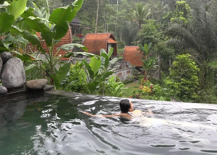 Bali Jungle 3*