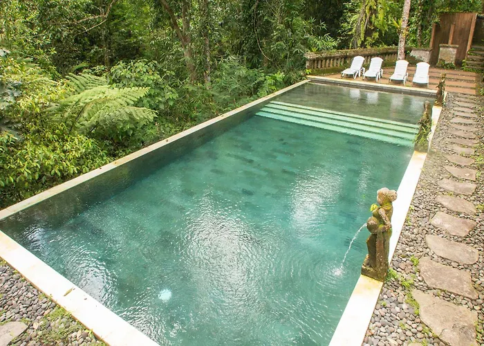 Bali Jungle