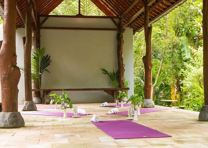 Hotel Bali Jungle 3*