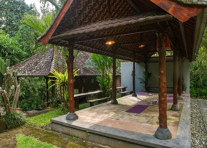 Bali Jungle 3*
