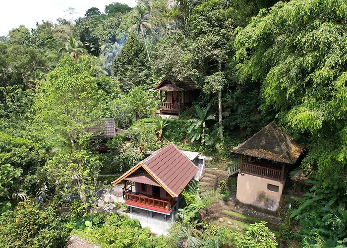 Bali Jungle 3* Tegallalang (Bali)