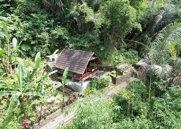 Hotel Bali Jungle