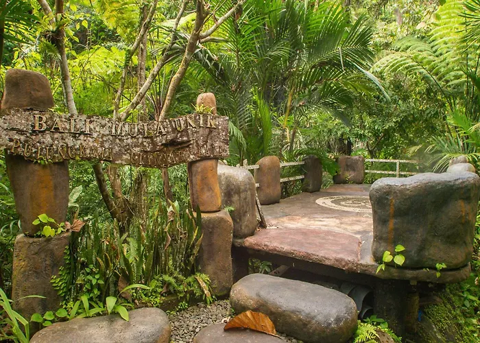 Hotel Bali Jungle 3*
