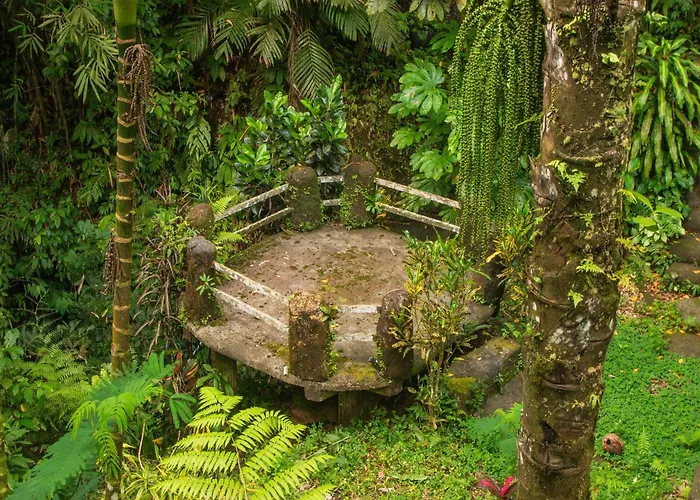Bali Jungle 3*