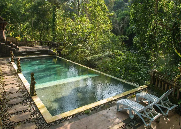 Hotel Bali Jungle