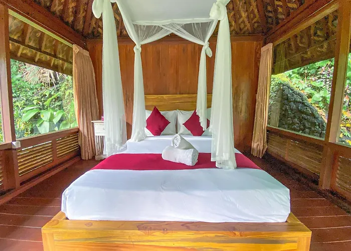 Bali Jungle
