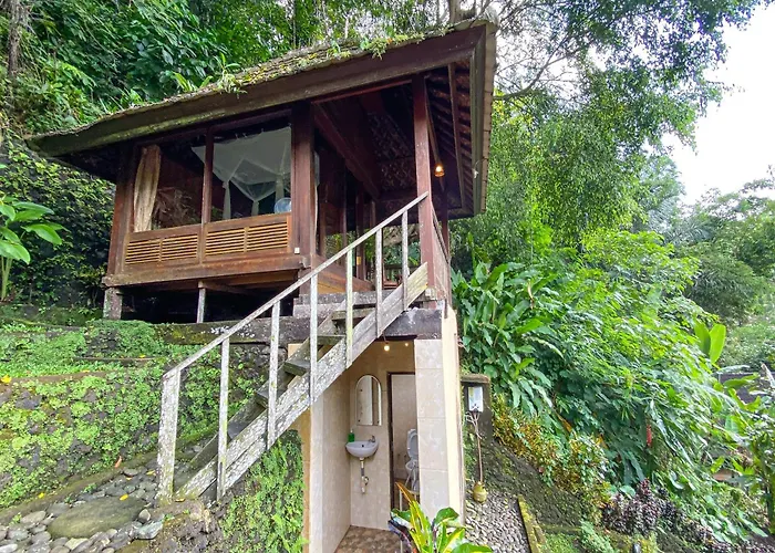 Bali Jungle