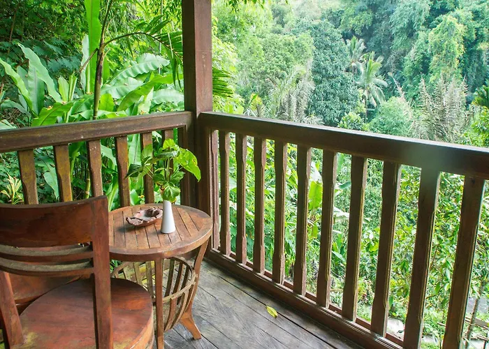 Bali Jungle فندق