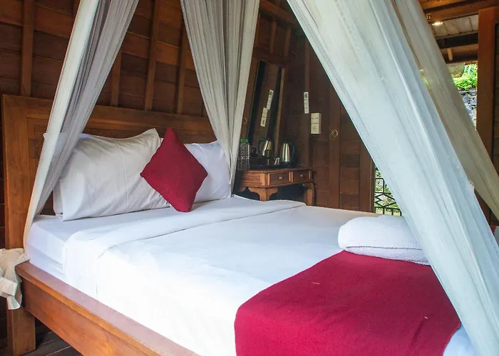 Bali Jungle فندق 3*