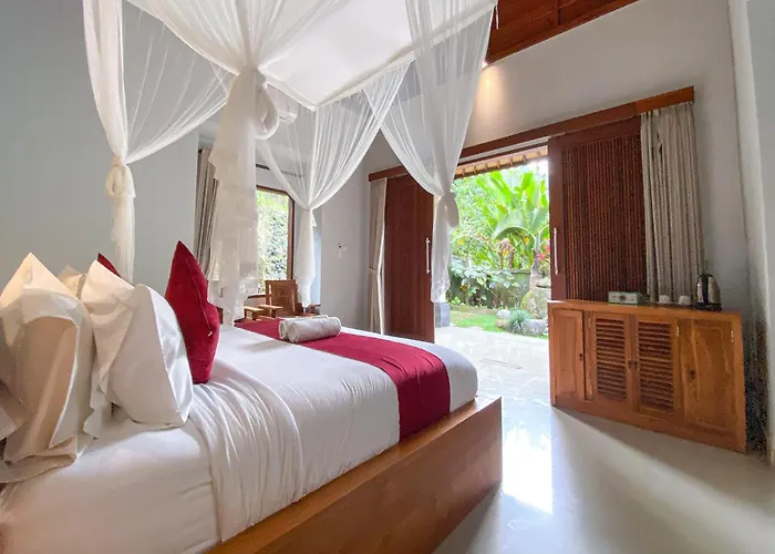 Bali Jungle فندق