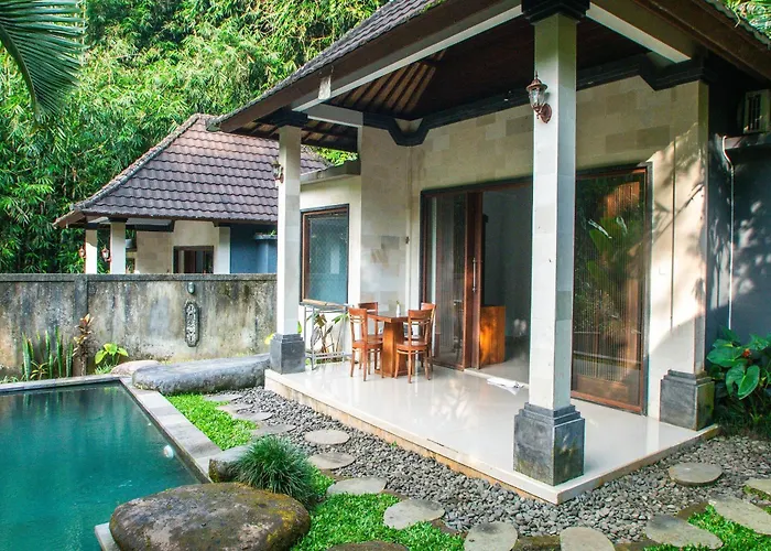 Bali Jungle