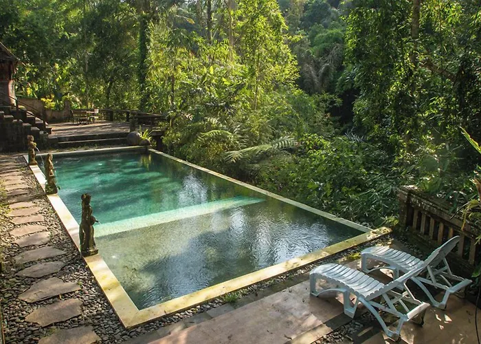 Bali Jungle فندق