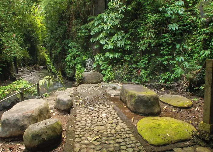 Bali Jungle 3* تيغالالانغْ