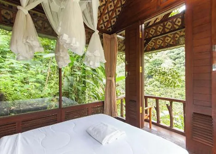 Bali Jungle